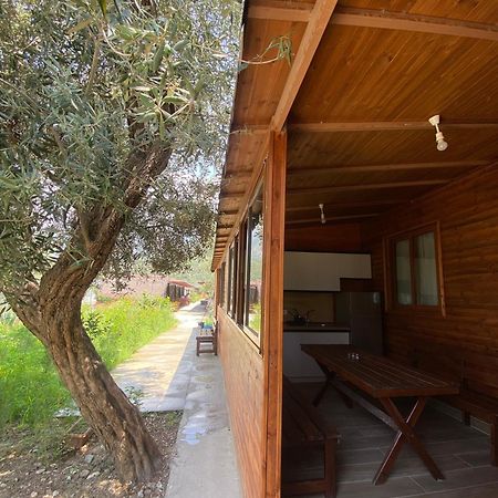 Violet Village Borsh Ngoại thất bức ảnh